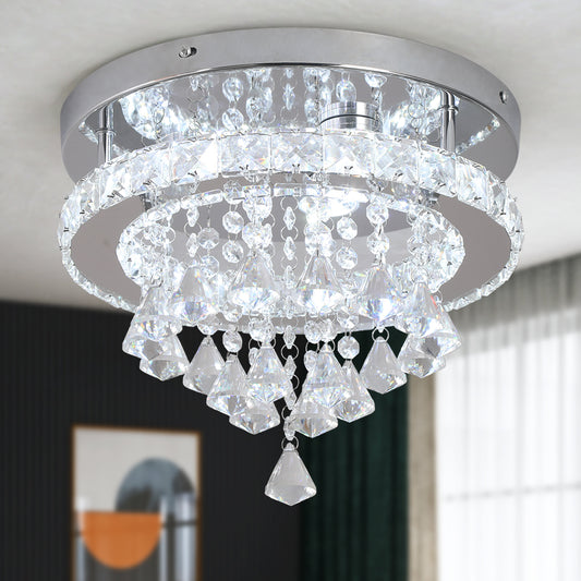 Crystal LED Stainless Steel Lighting Mount