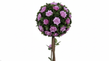 Purple Lush Rose Tree