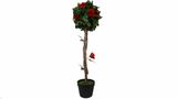 Red Lush Rose Tree