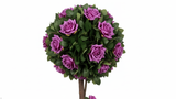 Purple Lush Rose Tree